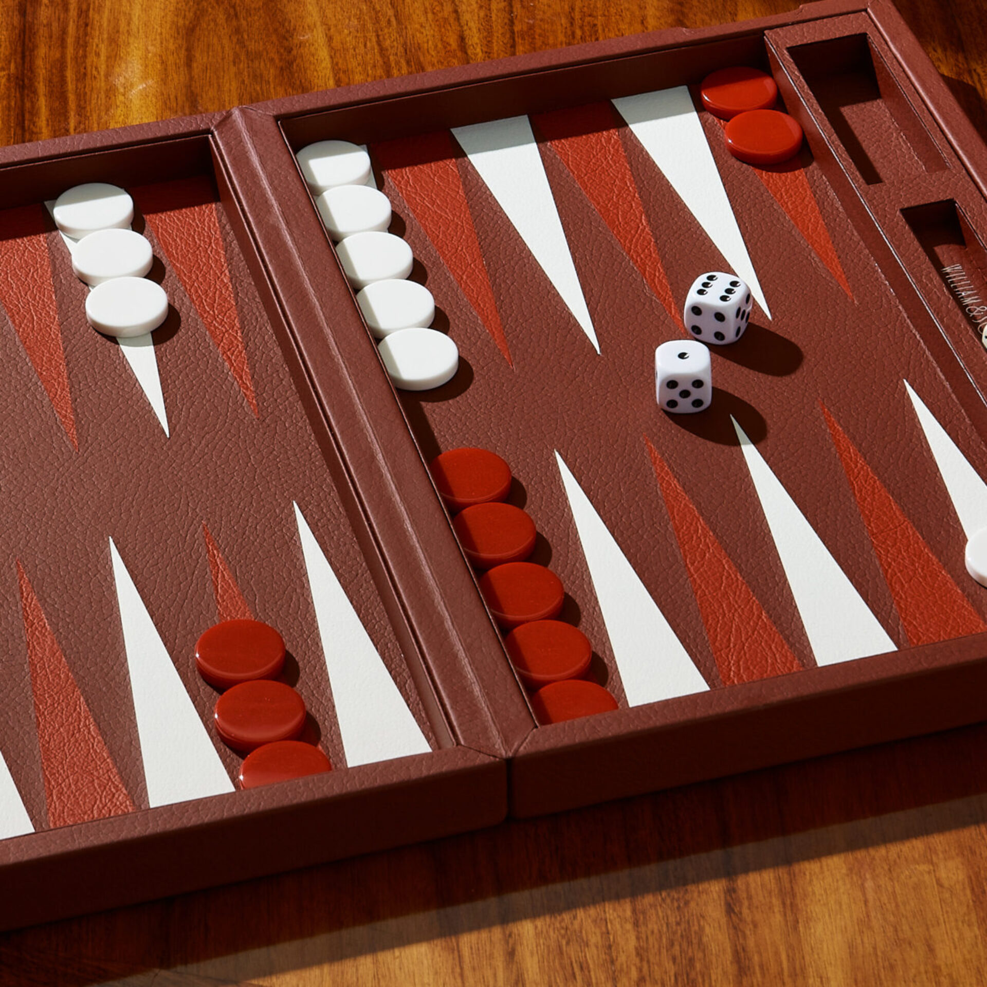 BACKGAMMONO0254