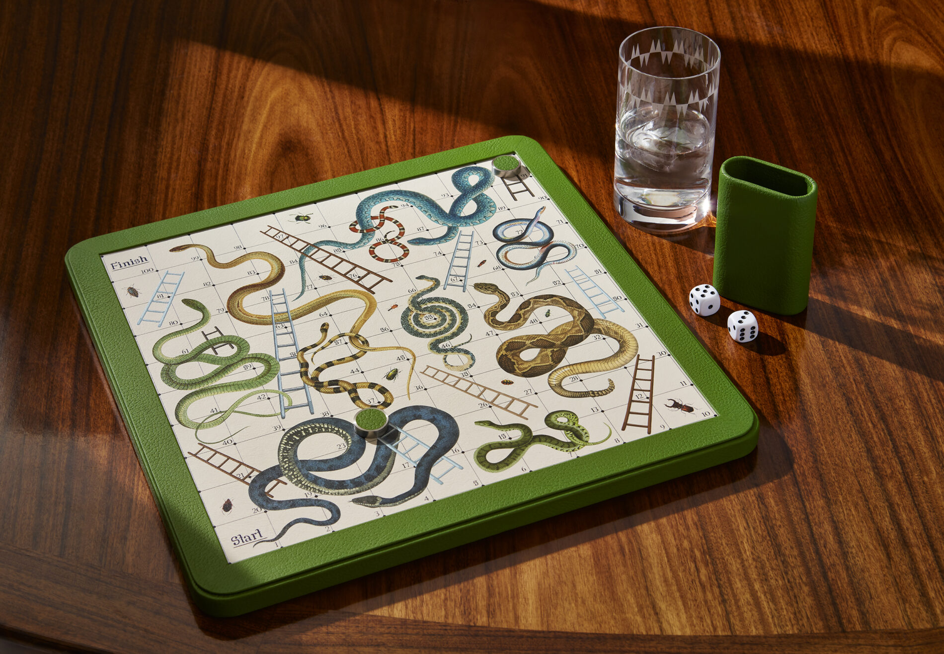 rt_SNAKES0240