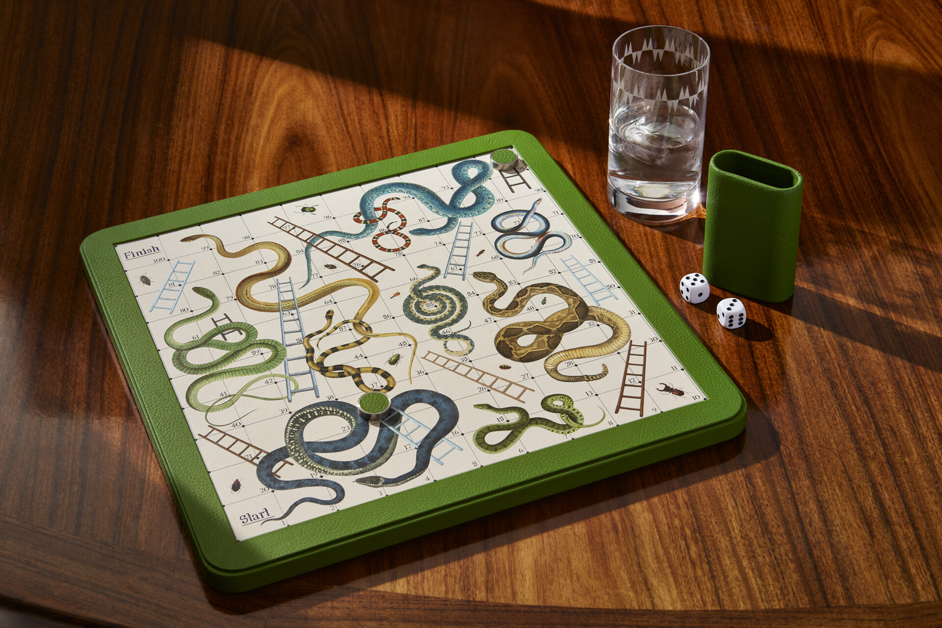 rt_SNAKES0240