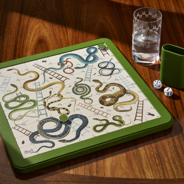 rt_SNAKES0240